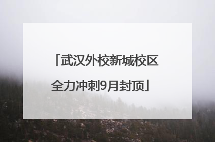 武汉外校新城校区全力冲刺9月封顶