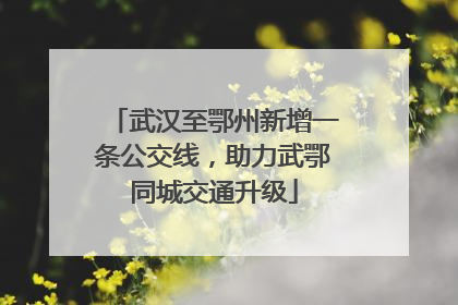 武汉至鄂州新增一条公交线，助力武鄂同城交通升级