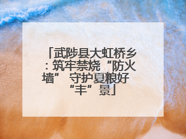武陟县大虹桥乡：筑牢禁烧“防火墙” 守护夏粮好“丰”景