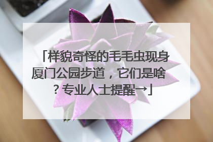 样貌奇怪的毛毛虫现身厦门公园步道，它们是啥？专业人士提醒→