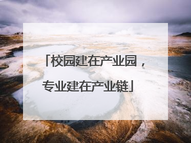 校园建在产业园，专业建在产业链