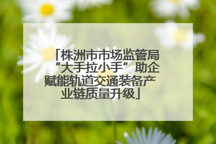 株洲市市场监管局“大手拉小手”助企赋能轨道交通装备产业链质量升级