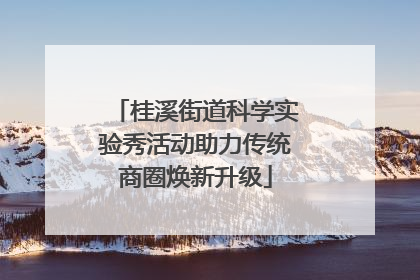 桂溪街道科学实验秀活动助力传统商圈焕新升级