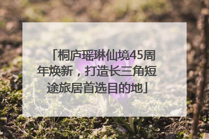 桐庐瑶琳仙境45周年焕新，打造长三角短途旅居首选目的地
