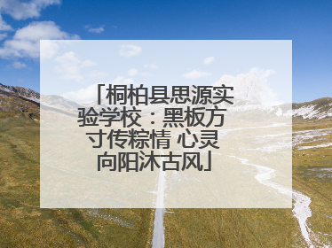 桐柏县思源实验学校：黑板方寸传粽情 心灵向阳沐古风