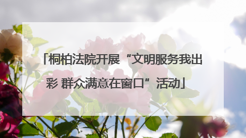 桐柏法院开展“文明服务我出彩 群众满意在窗口”活动