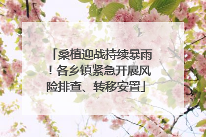 桑植迎战持续暴雨！各乡镇紧急开展风险排查、转移安置