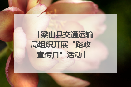 梁山县交通运输局组织开展“路政宣传月”活动