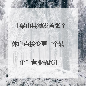梁山县颁发首张个体户直接变更“个转企”营业执照
