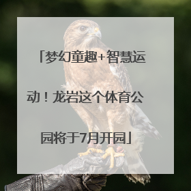 梦幻童趣+智慧运动！龙岩这个体育公园将于7月开园