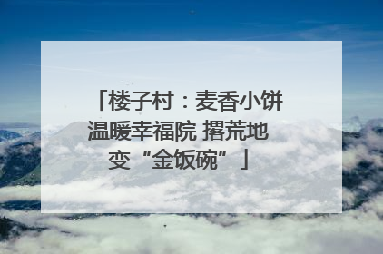 楼子村：麦香小饼温暖幸福院 撂荒地变“金饭碗”