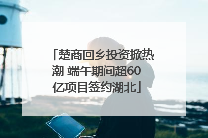 楚商回乡投资掀热潮 端午期间超60亿项目签约湖北