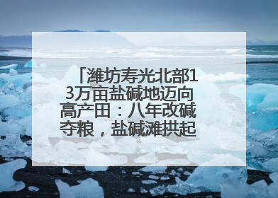 潍坊寿光北部13万亩盐碱地迈向高产田：八年改碱夺粮，盐碱滩拱起“金粮仓”