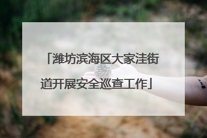 潍坊滨海区大家洼街道开展安全巡查工作