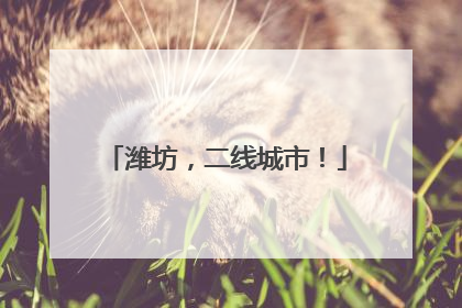 潍坊，二线城市！
