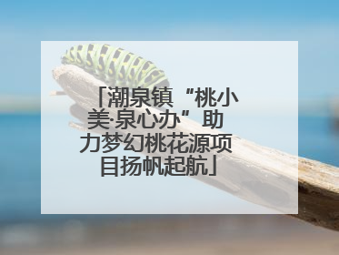 潮泉镇“桃小美·泉心办”助力梦幻桃花源项目扬帆起航