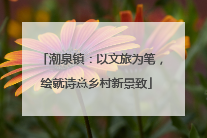 潮泉镇：以文旅为笔，绘就诗意乡村新景致