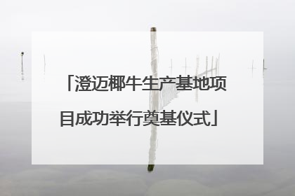 澄迈椰牛生产基地项目成功举行奠基仪式