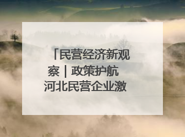 民营经济新观察｜政策护航 河北民营企业激发新“冀”遇