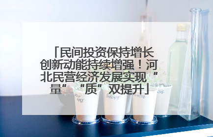 民间投资保持增长 创新动能持续增强！河北民营经济发展实现“量”“质”双提升