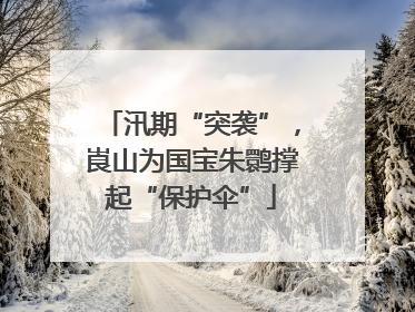 汛期“突袭”，崀山为国宝朱鹮撑起“保护伞”