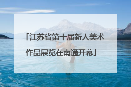 江苏省第十届新人美术作品展览在南通开幕
