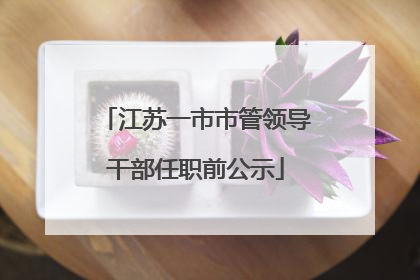 江苏一市市管领导干部任职前公示