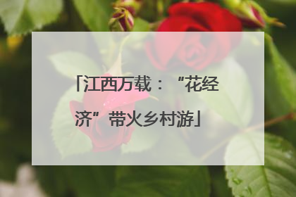 江西万载：“花经济”带火乡村游