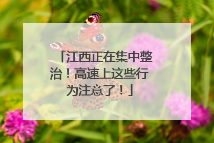 江西正在集中整治！高速上这些行为注意了！