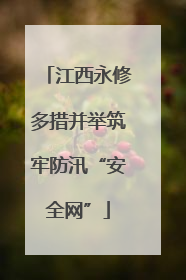江西永修多措并举筑牢防汛“安全网”
