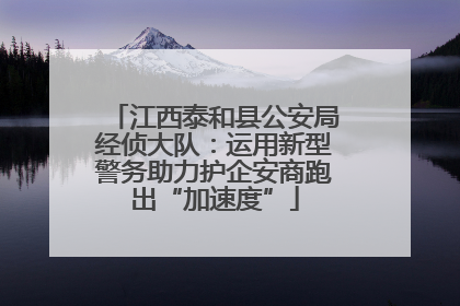 江西泰和县公安局经侦大队：运用新型警务助力护企安商跑出“加速度”