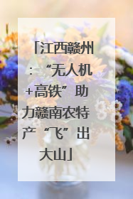 江西赣州：“无人机+高铁”助力赣南农特产“飞”出大山