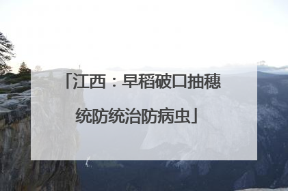 江西：早稻破口抽穗 统防统治防病虫