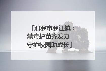 汨罗市罗江镇：禁毒护苗齐发力 守护校园助成长