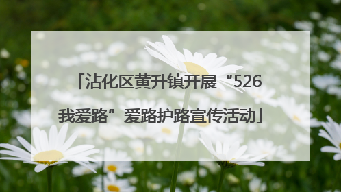 沾化区黄升镇开展“526我爱路”爱路护路宣传活动