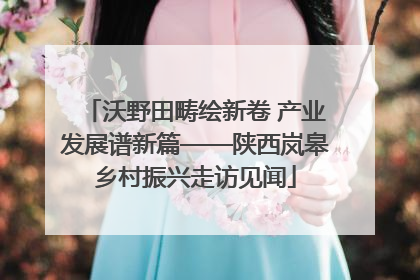 沃野田畴绘新卷 产业发展谱新篇——陕西岚皋乡村振兴走访见闻