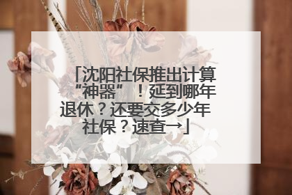 沈阳社保推出计算“神器”！延到哪年退休？还要交多少年社保？速查→