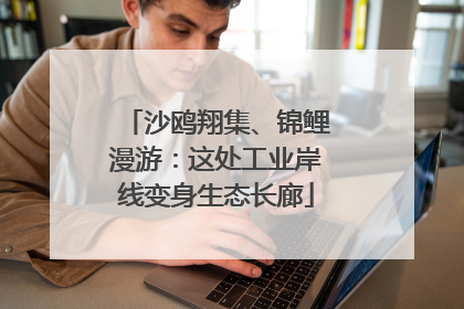 沙鸥翔集、锦鲤漫游：这处工业岸线变身生态长廊
