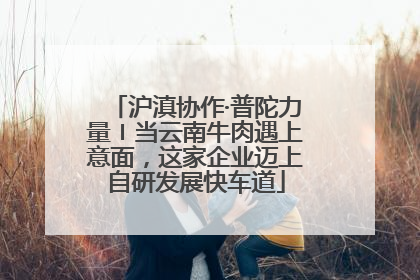 沪滇协作·普陀力量〡当云南牛肉遇上意面，这家企业迈上自研发展快车道