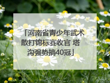 河南省青少年武术散打锦标赛收官 塔沟强势摘40冠