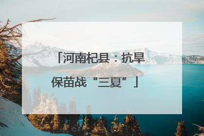 河南杞县：抗旱保苗战“三夏”