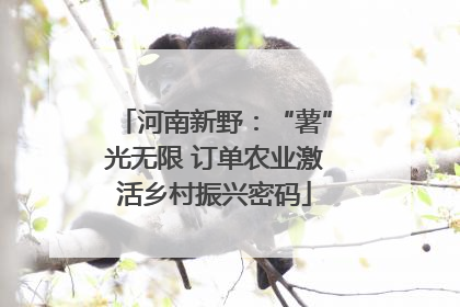 河南新野：“薯”光无限 订单农业激活乡村振兴密码