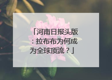 河南日报头版：拉布布为何成为全球顶流？