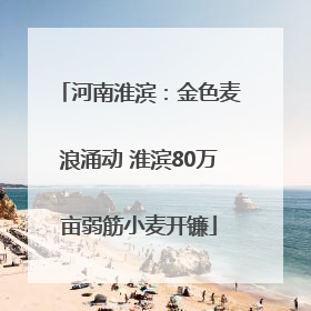 河南淮滨：金色麦浪涌动 淮滨80万亩弱筋小麦开镰