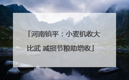河南镇平：小麦机收大比武 减损节粮助增收