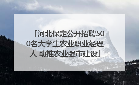 河北保定公开招聘500名大学生农业职业经理人 助推农业强市建设
