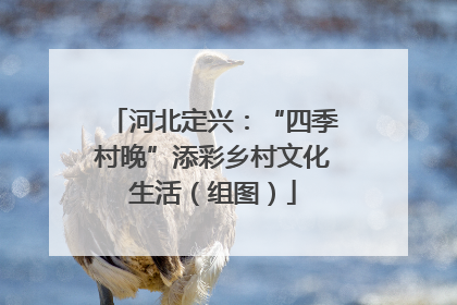 河北定兴：“四季村晚”添彩乡村文化生活（组图）