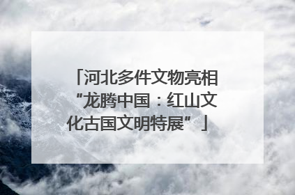 河北多件文物亮相“龙腾中国：红山文化古国文明特展”