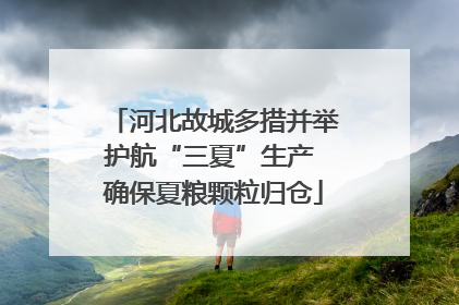 河北故城多措并举护航“三夏”生产 确保夏粮颗粒归仓