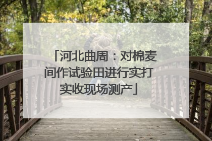 河北曲周：对棉麦间作试验田进行实打实收现场测产
